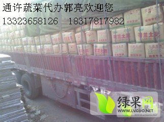 荷蘭十五克新系列土豆 貨源充足，專業代購代銷服務