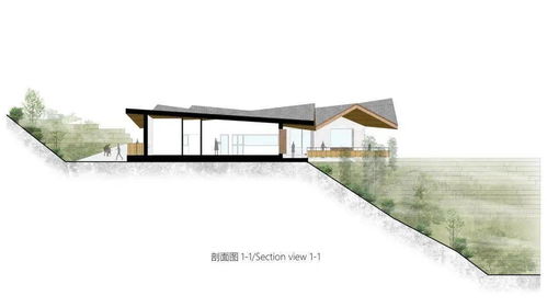 半山崖廢棄雞棚的暖心蛻變 小石村食品共享工廠與商品房代購代銷的鄉(xiāng)村振興新實(shí)踐