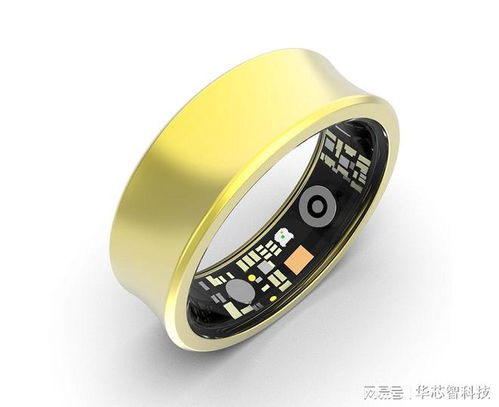 智能健康監測戒指選購指南 專業品牌深度解析